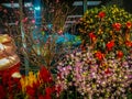 Amazing cluster of various flowers at Singapore airport. Inside view of Singapore airport. Inside view of an airport Royalty Free Stock Photo