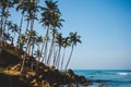Amazing Coconut palm hill in Mirissa bay in Sri lanka. Palms silhouette over blue ocean beach