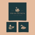 Amazing Collection Set Illustration Swan Beauty Inspiration Design Concept Template