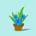 The Amazing of Colorful Flowers Character, Pattern Wallpaper in Blue Background Royalty Free Stock Photo