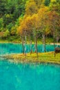Tourquoise Autumn Lake In West China