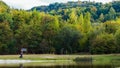 Amazing colorful landscape with lake and park in lviv