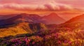 Amazing colorful sunrise in mountains with colored clouds and pink rhododendron flowers on foreground. Dramatic colorful scene wit