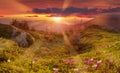 Amazing colorful sunrise in mountains with colored clouds and pink rhododendron flowers on foreground. Dramatic colorful scene wit