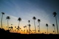 Colorful sunset in the caribbean Royalty Free Stock Photo