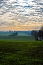 A magical scenery with an amazing colourful sunrise with clouds attached like dots to the sky and the dew over the agricultural fi