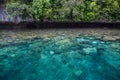 Amazing Coral Reef and Rock Island in Palau