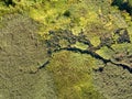 Panoramic view from the drone, aerial photography of landscape with greenery of forests, fields and source of the river. Royalty Free Stock Photo