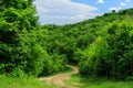 Amazing cozy trail, landscape natural view, sunny summer day