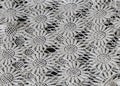 amazing, creamy white knitted pattern textured background on dark, closeup