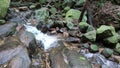 Amazing creek and rocks inside jungle