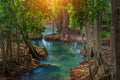 Amazing crystal clear emerald canal with mangrove forest Krabi Thailand