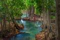 Amazing crystal clear emerald canal with mangrove forest Krabi Thailand