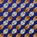 The Amazing of Cute Owl Cartoon Funny Character, Pattern Wallpaper in Dark Background Royalty Free Stock Photo