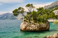 Amazing day landscape with rocky island with pines and clear water of the Adriatic Sea on the beach,Brela,Makarska riviera,Dalmati Royalty Free Stock Photo