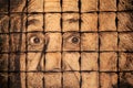 Image of Albert Einstein made with burnt toast, Rochester Museum and Science Center, New York, 2017