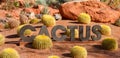 Amazing desert cactus garden with CACTUS sign.