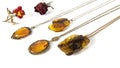 Amazing different old Baltic amber pendants on the white background. Isolated luxurious amber jewelry and dry roses.