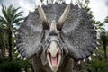 The amazing dinosaur statue in the Nongnuch garden Thailand