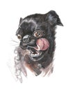 Amazing dog face with round eyes . Dog black French bulldog. Graphic portrait dog, hand drawing illustration. Watercolor Royalty Free Stock Photo