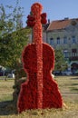Amazing double bass or violin made out of red and pink carnation flowers, at the street flower festival in Arad, Romania