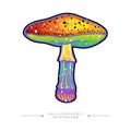 Amazing drawing of a fly agaric psilocybin mushroom. Toxic magical hallucinogenic mushroom. Acid fly agaric sticker