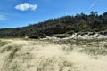 An Amazing dune sand in Alexandria Bay Noosa National Park Royalty Free Stock Photo