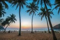 Amazing dusk vie on sunset with palms and beach and water of Indian Ocean