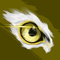 An amazing eagle eye