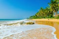 Amazing exotic sandy beach andhigh palm trees Royalty Free Stock Photo