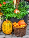 Amazing fall street decoration. Wooden lamp, squash, orange pumpkins and wicker basket with fresh apples. Colorful autumn decor,