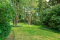 Amazing farm house backyard with green lawn, fir trees, bushes Royalty Free Stock Photo