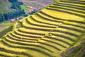 Amazing farming terraces with green grass near Pisac town in Peru