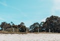 Amazing The Fence Opposed To The Sand Including The Blue Sky In The Daytime