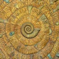 An amazing fibonacci pattern in a nautilus shell Royalty Free Stock Photo