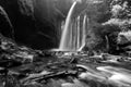 Amazing fine art black and white Tiu Kelep Waterfall near Rinjani, Senaru Lombok indonesia. Southeast Asia. Royalty Free Stock Photo