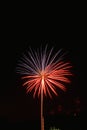 Amazing fireworks in the dark sky