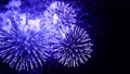 Amazing fireworks flowers on the night sky. Brightly blue fireworks on dark black color background. Holiday relax time with Royalty Free Stock Photo