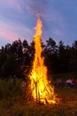 Amazing flames of a campfire