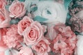 Amazing flower bouquet arrangement close up Royalty Free Stock Photo