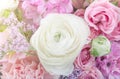 Amazing flower bouquet arrangement Royalty Free Stock Photo