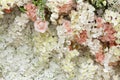 Amazing flower bouquet arrangement close up in pastel colors Royalty Free Stock Photo