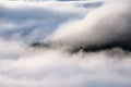 Amazing foggy autumn day. Landscape with high mountains. Forest of the pine trees. The early morning mist. Touristic place.