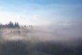 Amazing foggy morning. Landscape with high mountains. Forest of the pine trees. The early morning mist. Touristic place. Natural Royalty Free Stock Photo