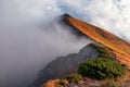 Amazing foggy morning. Landscape with high mountains. Forest of the pine trees. The early morning mist. Touristic place. Natural Royalty Free Stock Photo