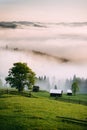 Amazing foggy morning in the rural area of Bucovina, Romania. Royalty Free Stock Photo