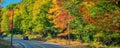 Amazing foliage colors. New England road through the forest in autumn season