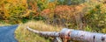 Amazing foliage colors. New England road through the forest in autumn season