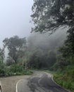 Amazing foogy view of Kodaikanal Hill station, Tamilnadu, India