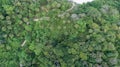 Amazing forest Aerial view of forest trees Rainforest ecosystem and healthy environment background Texture of green trees forest